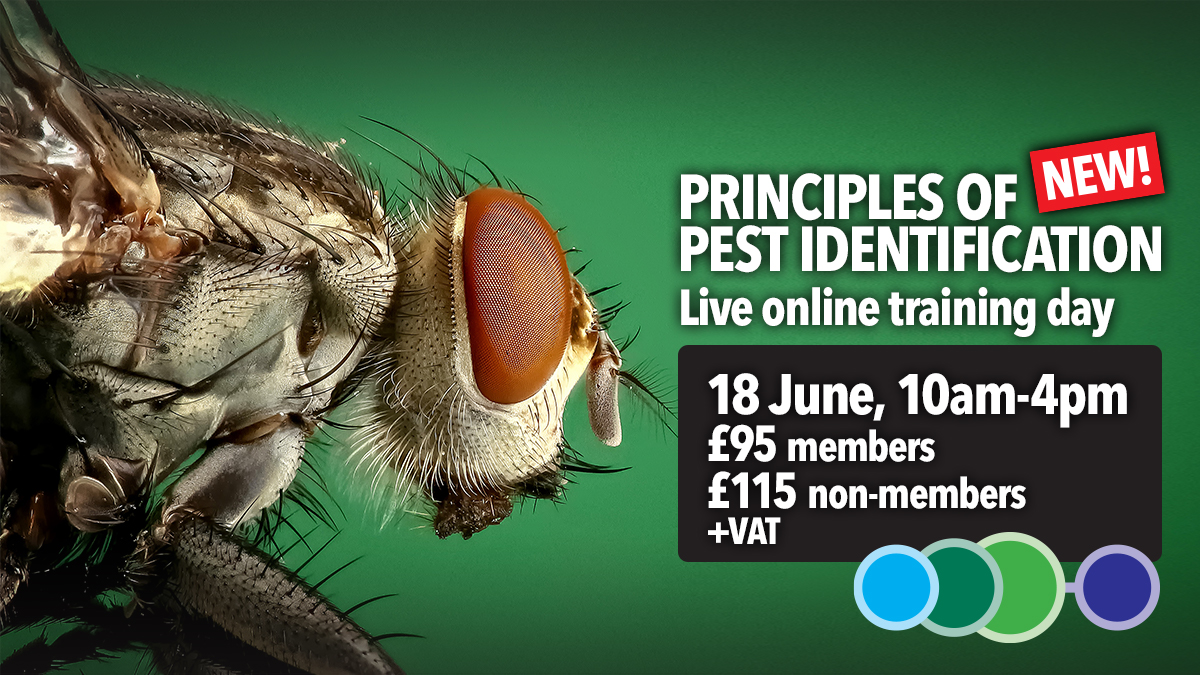 Principles of Pest Identification trianing course by BPCA